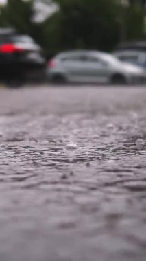 Yağmur, su birikintileri. Otoparka yağmur yağıyor. Yakın plan. Yağmur damlaları yağmur fırtınası sırasında su birikintilerine ve kabarcıklara düşer. yaz yağmurları.