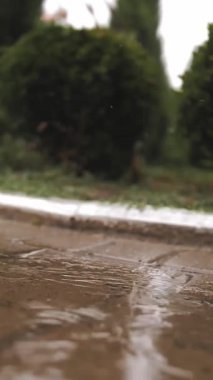 Yağmur, su birikintileri. Yağmur yağıyor. Su damlaları. Yağmur fırtınası. Yakın plan. Şiddetli yağmurda, yağmur damlaları ve kabarcıklarla su birikintilerine damlıyor. yaz yağmurları
