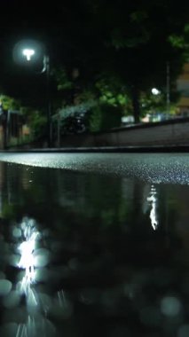 Yağmur. Su birikintisi. Geceleri şehir. Sokak Işıklarıyla Yağmur Damlası.