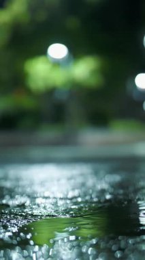 Gece yağmur yağacak. Su birikintisi Sokak lambası. Su birikintisine düşen yağmur damlaları.