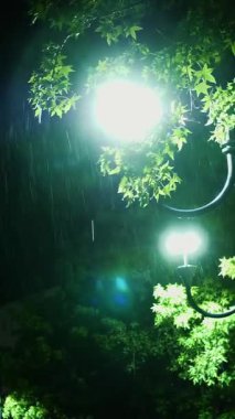 Sokak lambası. Yağmur damlası. Geceleyin yağmur. Hafif yağmur. Şehir kaldırımında ışık yansıyan su birikintisi. Sokak lambası. Sokak Işıklarıyla Yağmur Damlası.