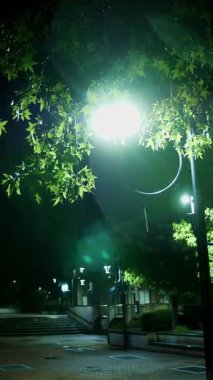 Sokak lambası. Yağmur damlası. Geceleyin yağmur. Hafif yağmur. Şehir kaldırımında ışık yansıyan su birikintisi. Sokak lambası. Sokak Işıklarıyla Yağmur Damlası.