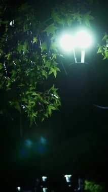 Sokak lambası. Yağmur Damlası. Gece yağmur yağacak. Hafif yağmur. Şehir kaldırımında ışık yansıyan su birikintisi. Sokak lambası. Sokak Işıklarıyla Yağmur Damlası.