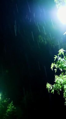 Sokak lambası. Yağmur Damlası. Gece yağmur yağacak. Hafif yağmur. Şehir kaldırımında ışık yansıyan su birikintisi. Sokak lambası. Sokak ışıklarıyla yağmur damlası. Yakın plan..