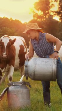 İnek sütü. Dişi çiftçi, gün batımında yeşil çayırlara taze süt dökerken arka planda inekler var. Süt sağmak. Süt çiftliği. Süt ürünleri. Çiftçilik