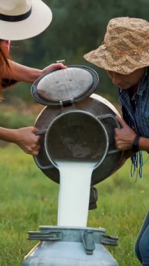 İnek sütü. İki dişi çiftçi yeşil çayırlara taze süt döküyor ve arka planda inekler var. Süt sağmak. Süt çiftliği. Süt ürünleri. Çiftçilik