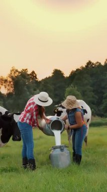 İnek sütü. İki dişi çiftçi yeşil çayırlara taze süt döküyor ve arka planda inekler var. Süt sağmak. Süt çiftliği. Süt ürünleri. Çiftçilik