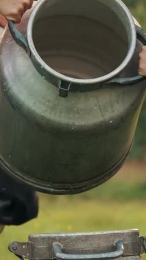 İnek sütü. Yakın plan. İki dişi çiftçi yeşil çayırlara taze süt döküyor. Arka planda bir inek var. Süt sağmak. Süt çiftliği. Süt ürünleri. Çiftçilik