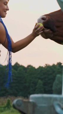 İnek sütü. Yakın plan. Yeşil çayır üzerine taze süt konserveye dökülüyor. Kadın çiftçi, gökkuşağı saçlı, arka planda ineklere elma yediriyor. Süt sağmak. Süt ürünü. Çiftçilik