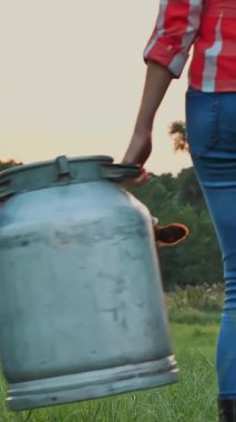 İnek sütü. İki çiftçi kadın, gün batımında otlayan inek arka planına karşı yeşil çayır boyunca taze sütle dolu büyük bir konserve kutusu taşıyor. Süt sağmak. Süt çiftliği. Süt ürünleri. Çiftçilik.