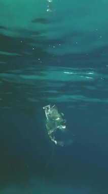 denizde yüzen bir plastik torba Close-up. Deniz suyu çöpte. Çevre kirliliği plastik çöp kirlilik okyanuslar ve denizler. Çevre kirliliği kavramı.