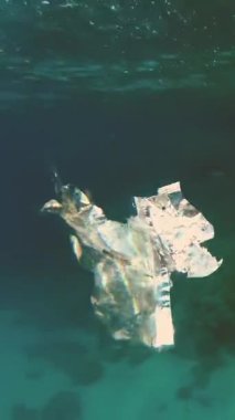 denizde yüzen bir plastik torba Close-up. Deniz suyu çöpte. Çevre kirliliği plastik çöp kirlilik okyanuslar ve denizler. Çevre kirliliği kavramı.