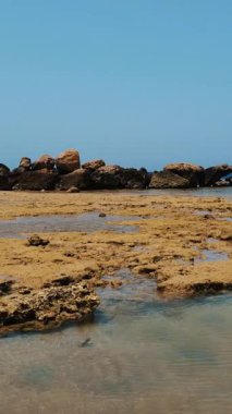 Güzel deniz manzarası. Kızıl Deniz 'in kayalık plajı. Deniz lagünündeki gelgitte ölü resif açığa çıktı. Yaz manzaralı deniz manzarası, güneşli sahil manzaralı..
