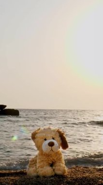 Oyuncak köpek kumsalda tek başına oturuyor, denizin arka planında, gün doğumunda ya da batımında..