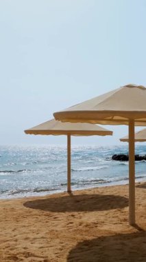 Boş, terk edilmiş, palmiye ağaçları, güneş şezlongları ve pahalı bir otelin şemsiyeleriyle dolu bir plaj. Turistler için otellerin yeniden açılması