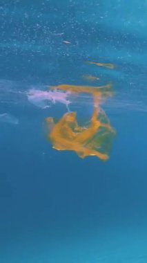 Yüzen plastik çöp, Çöp, torbalar ve su yüzeyinde tek kullanımlık bardak. denizve okyanusların kirliliği, Çevre sorunu. deniz yaşamına zarar, sakinleri.