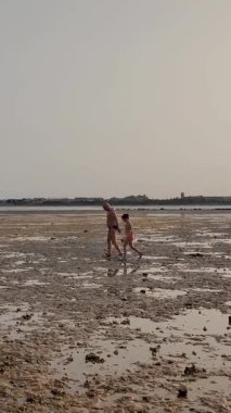 Sahilde düşük gelgit, ölü resif, gün batımında. mayolar erkek ve kız genç düşük gelgit sahilde yürümek, ölü resif nadir fauna düşünün. deniz kirliliği, fauna ve fauna kaybolur.