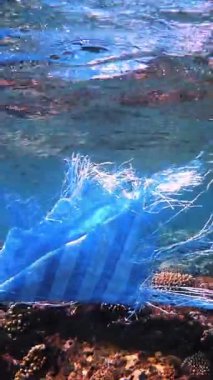 Denizde çöp. Denizin plastik kirliliği. Mavi plastik poşet güneş ışığında yavaşça suyun altında sürükleniyordu. Arka ışıklandırma. Plastik atık çevresel kirlilik sorunu