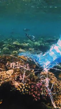 Denizde çöp. Denizin plastik kirliliği. Mavi plastik poşet güneş ışığında yavaşça suyun altında sürükleniyordu. Arka ışıklandırma. Plastik atık çevresel kirlilik sorunu