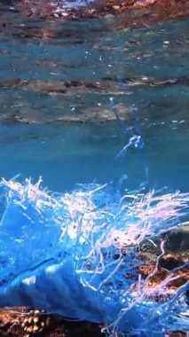 Denizde çöp. Denizin plastik kirliliği. Mavi plastik poşet güneş ışığında yavaşça suyun altında sürükleniyordu. Arka ışıklandırma. Plastik atık çevresel kirlilik sorunu