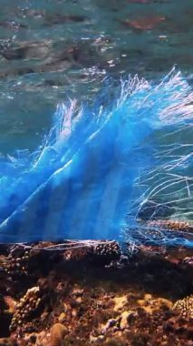 Denizde çöp. Denizin plastik kirliliği. Mavi plastik poşet güneş ışığında yavaşça suyun altında sürükleniyordu. Arka ışıklandırma. Plastik atık çevresel kirlilik sorunu