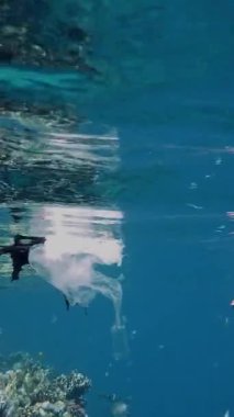 Denizde çöp toplayın. Gönüllü, genç kız, şnorkel maskeli, yüzen plastik çöp topluyor, plastik torbalar sürüklüyor. Deniz, okyanus kirliliği. çevre koruması.