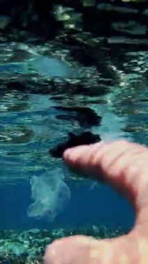 Denizde çöp. Denizi temizle. Sudaki çöpleri toplayın. Yakın plan. Erkek el atıkları yakalar, plastik torbalar kullanır. Birinci şahıs görüşü. Deniz ya da okyanus kirliliği. çevre koruması.