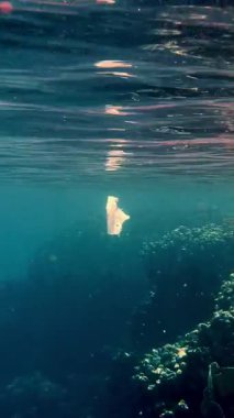 Denizde çöp. Denizin plastik kirliliği. Kullanılmış, beyaz plastik torba güneş ışığında yavaşça suyun altında sürükleniyor. Arka ışıklandırma. Plastik atık çevresel kirlilik sorunu