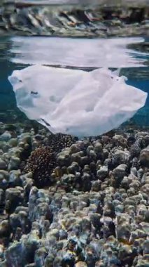Denizde çöp. Denizde çöp toplayın. Gönüllü, genç kız, şnorkel maskeli, yüzen çöp topluyor, plastik torba sürüklüyor. Deniz, okyanus kirliliği. çevre koruması.