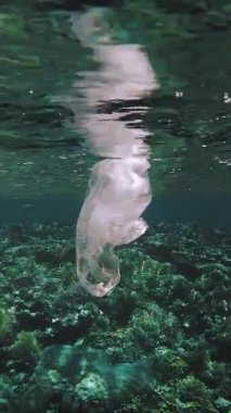 Denizde çöp. Denizin plastik kirliliği. Kullanılmış, beyaz plastik torba mercan resifinde yavaşça sürükleniyor, güneş ışığında suyun altında. Plastik atık çevresel kirlilik sorunu