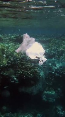 Denizde çöp. Denizin plastik kirliliği. Kullanılmış, beyaz plastik torbalar mercan resifinde, suyun altında, güneş ışığında yavaşça sürükleniyorlar. Plastik atık çevresel kirlilik sorunu