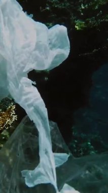 Denizde çöp. Denizi temizle. Sudaki çöpleri toplayın. Yakın plan. Erkek el atıkları yakalar, plastik torbalar kullanır. Birinci şahıs görüşü. Deniz ya da okyanus kirliliği. çevre koruması.