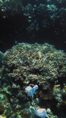 Denizde çöp. Denizde tıbbi maske. Tıbbi maskeler mercan resifleri üzerinde yavaşça sürükleniyorlar, güneş ışığında suyun altında. Çöp çevresi kirliliği sorunu