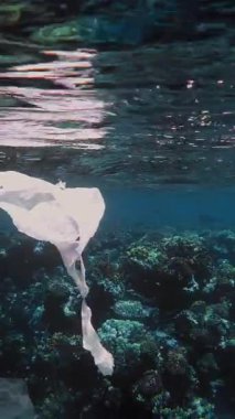 Denizde çöp. Denizin plastik kirliliği. Kullanılmış, beyaz plastik torbalar mercan resifinde, suyun altında, güneş ışığında yavaşça sürükleniyorlar. Plastik atık çevresel kirlilik sorunu