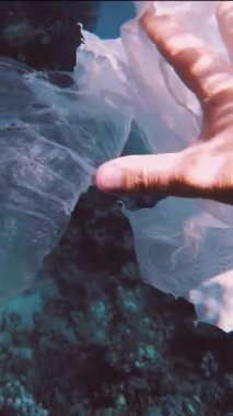 Denizde çöp. Denizi temizle. Sudaki çöpleri toplayın. Yakın plan. Erkek el atıkları yakalar, plastik torbalar kullanır. Birinci şahıs görüşü. Deniz ya da okyanus kirliliği. çevre koruması.