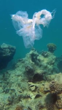 Denizde çöp. Denizin plastik kirliliği. Kullanılmış, beyaz plastik torba mercan resifinin üzerinde yavaşça sürükleniyor, suyun altında, güneş ışığında. Plastik atık çevresel kirlilik sorunu