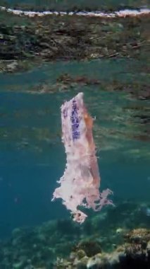 Denizde çöp. Denizin plastik kirliliği. Kullanılmış, beyaz plastik torba mercan resifinin üzerinde yavaşça sürükleniyor, suyun altında, güneş ışığında. Plastik atık çevresel kirlilik sorunu