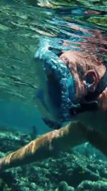 Şnorkelle yüzmek. Yüzme. Dalış. Şnorkel maskeli bir adam, sayısız renkli, egzotik resif balığıyla sualtı mercan resiflerini keşfediyor..