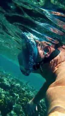 Şnorkelle yüzmek. Yüzme. Dalış. Şnorkel maskeli bir adam, sayısız renkli, egzotik resif balığıyla sualtı mercan resiflerini keşfediyor. yakın plan.