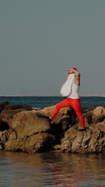 Komik Noel Baba. Noel Baba dinleniyor. Noel Baba, güneş gözlüğü ve yüzgeçleriyle deniz suyunda kayaların üzerinde duruyor. Uzağa bakıyor ve esniyor. Noel Baba yaz tatili. Noel Baba eğleniyor.