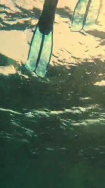 Yüzgeçli bacaklar, yüzgeçler. Adam suyun altında mavi paletlerle yüzüyor. Mavi paletlerle yüzen erkek bacakları. Suyun altında. Kapatın. Şnorkelle yüzmek