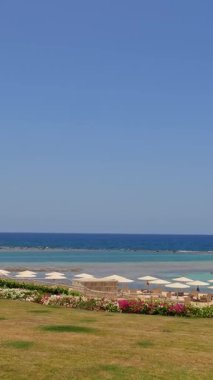 Otel tropik plajı. Güneş şemsiyeleri. Plaj sandalyeleri. İnsanlar yüzer ve kumlu sahilde şemsiyeler ve güneşlenmelerle güneşlenirler. Dalgalar. Kızıl Deniz Kıyısı. Sıcak yaz günü