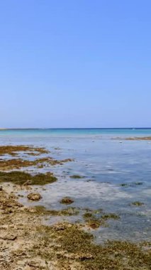 Dalgalar. Kızıldeniz sahili alçak gelgitte. Yosun ve ölü resif görülebilir..