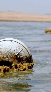 Dalgalar. Şamandıra. Yakın plan. Kızıldeniz sahili alçak gelgitte. Sudaki şamandıralar alçak gelgitte. Kalay pulu ve küçük yosun katırıyla kaplı bir şamandıra. Yosun ve ölü resif görülebilir..