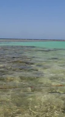 Dalgalar. Kızıl deniz kıyısı alçak gelgitte. Yosun ve ölü resif görülebilir..