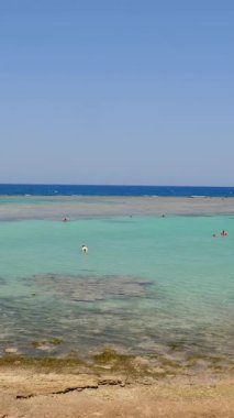 Dalgalar. Kızıldeniz sahili alçak gelgitte. Yosun ve ölü resif görülebilir..