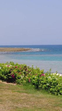 Otel bölgesi, çimenlik, deniz kıyısında. Kızıl Deniz 'in sahilinde gelgit var. sıcak yaz günü.