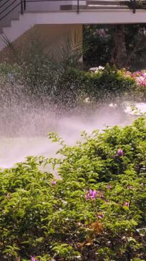 Çim sulama. Çim sulama sistemi. Çim fıskiyesi. Sulama sistemi. Su fıskiyeleri çalışıyor, bahçedeki çimenleri suluyor..