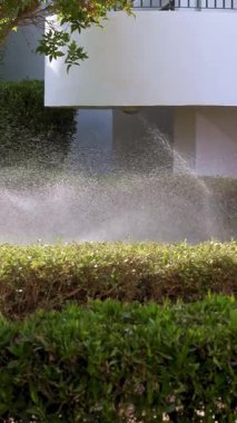 Çim sulama. Çim sulama sistemi. Çim fıskiyesi. Sulama sistemi. Su fıskiyeleri çalışıyor, bahçedeki çimenleri suluyor..