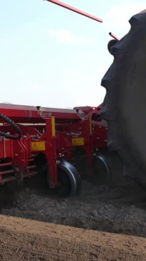 Yakın plan, makineleşmiş patates ekme işlemi. Özel teçhizatlı büyük traktör, uzun düz üst sıraları, çizgileri, tepecikleri, yeni ekilmiş patatesleri, ekilen siyah toprak tarlasında, bahar günü, ekim mevsiminde
